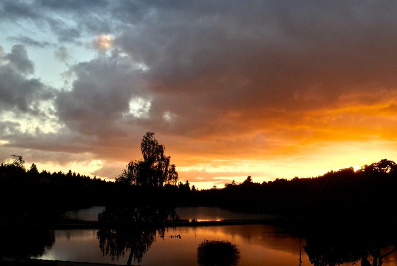 Seesicht Appartements Am Kranichsee ゴスラー エクステリア 写真