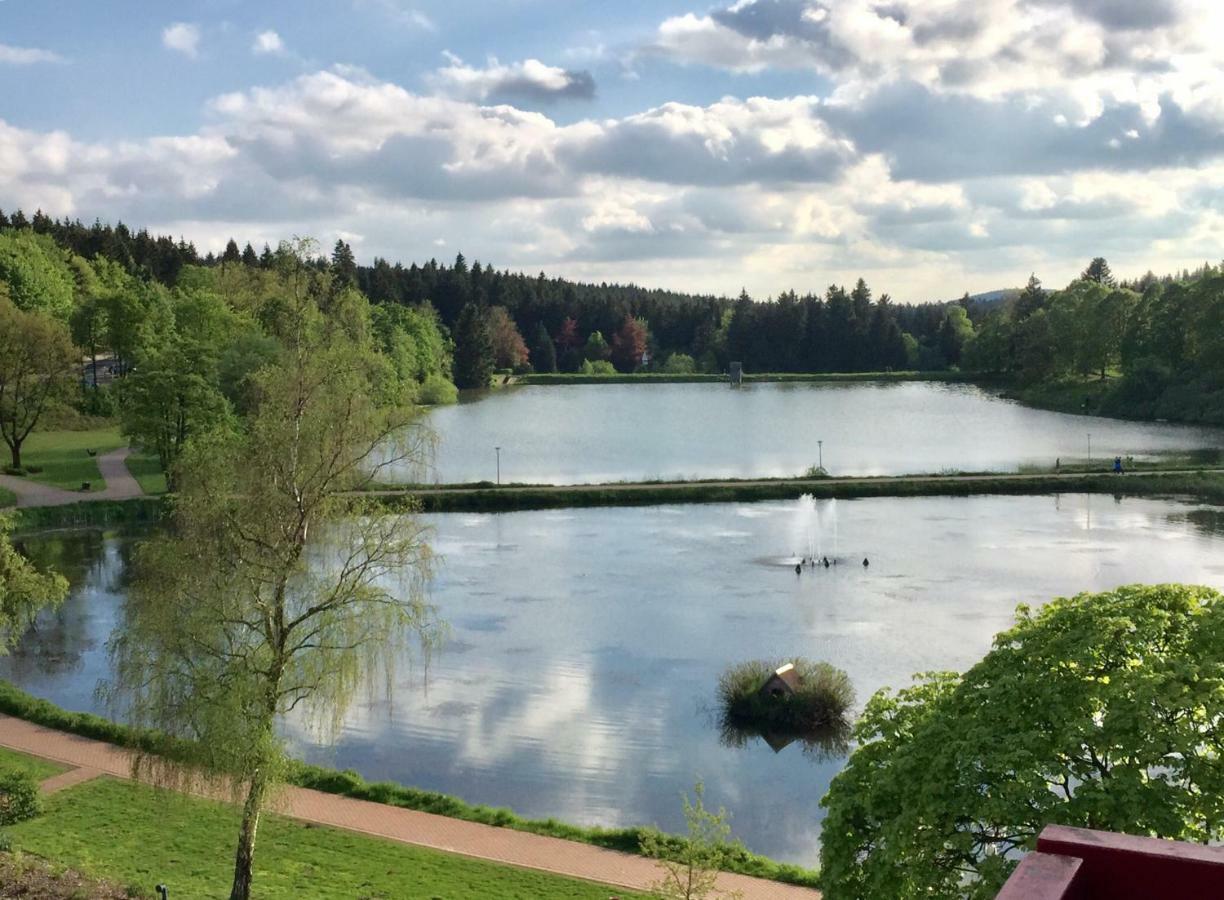 Seesicht Appartements Am Kranichsee ゴスラー エクステリア 写真