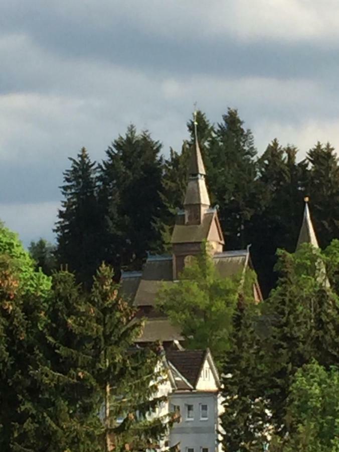 Seesicht Appartements Am Kranichsee ゴスラー エクステリア 写真