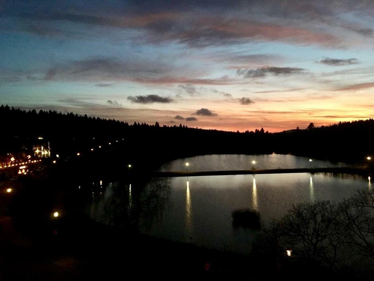 Seesicht Appartements Am Kranichsee ゴスラー エクステリア 写真