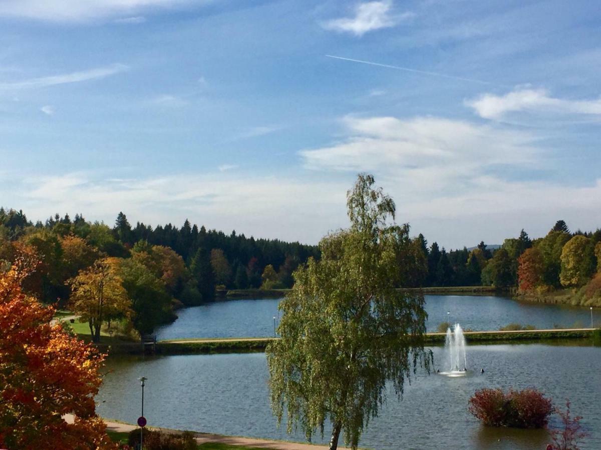 Seesicht Appartements Am Kranichsee ゴスラー エクステリア 写真