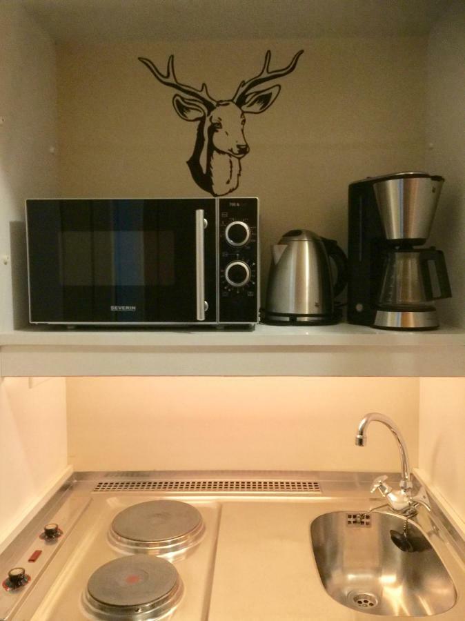 Seesicht Appartements Am Kranichsee ゴスラー エクステリア 写真